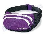 Saszetka Nerka Dakine Hip Pack PBS 2013