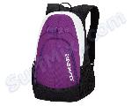Plecak Dakine Pivot 21L PBS 2013