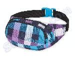 Saszetka Nerka Dakine Hip Pack Vista 2013